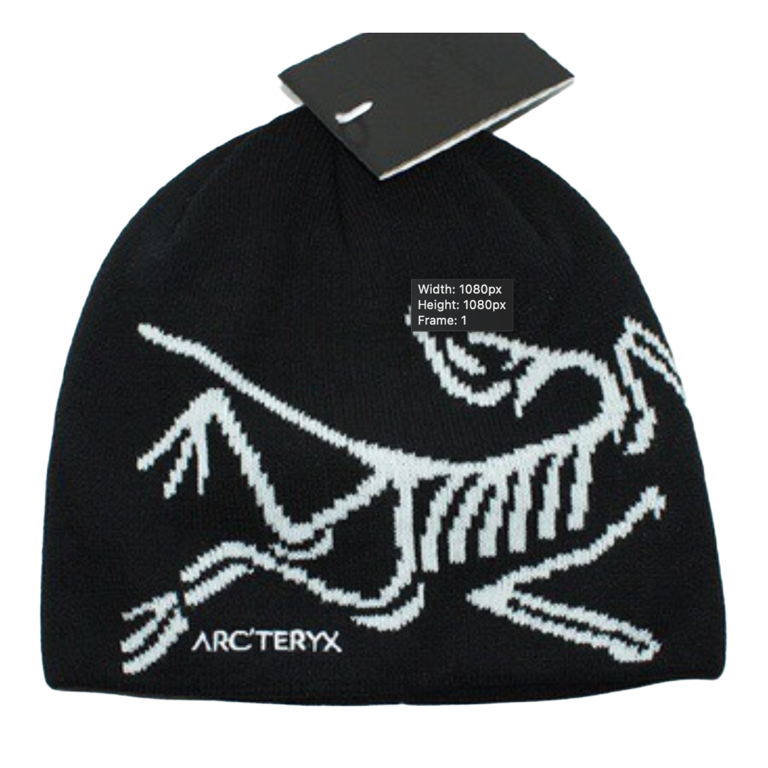 FOSSIL BEANIE