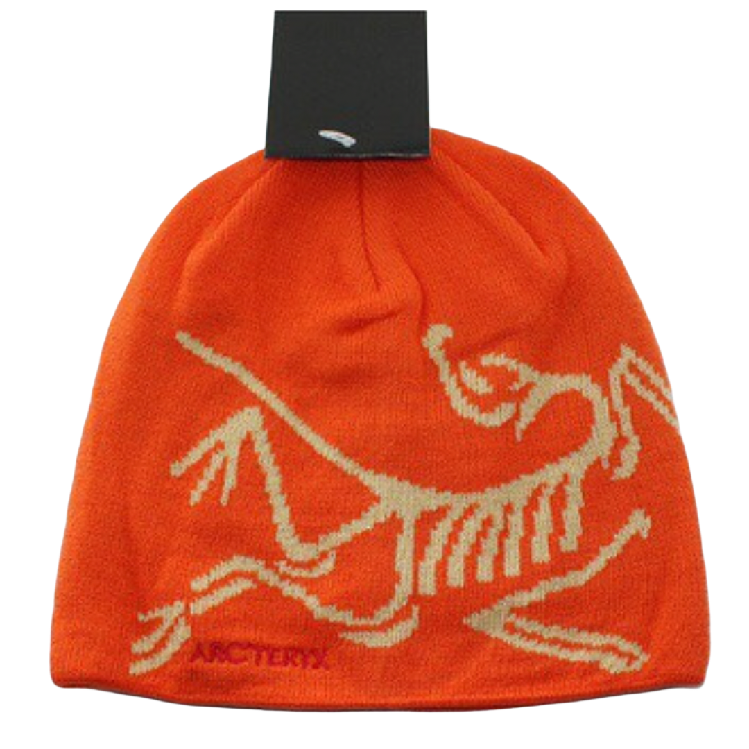 FOSSIL BEANIE